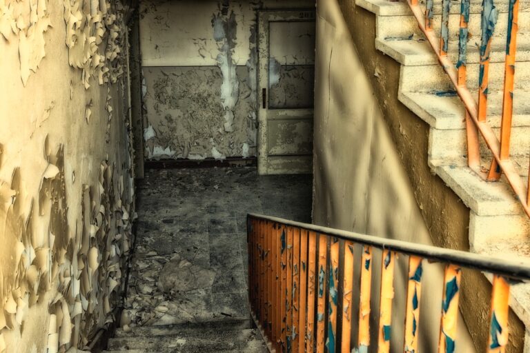 How to Keep Your Basements Dry and Mold-Free- Effective Waterproofing Techniques!
